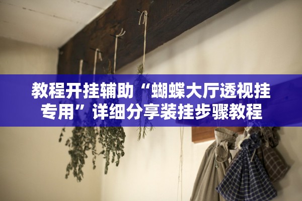 教程开挂辅助“蝴蝶大厅透视挂专用”详细分享装挂步骤教程