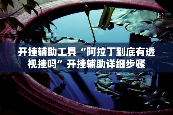 开挂辅助工具“阿拉丁到底有透视挂吗”开挂辅助详细步骤