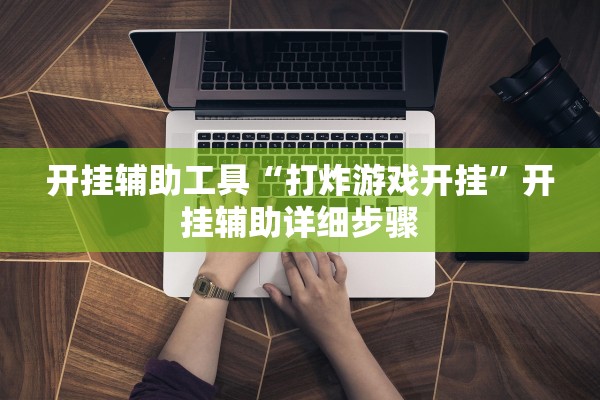 开挂辅助工具“打炸游戏开挂”开挂辅助详细步骤