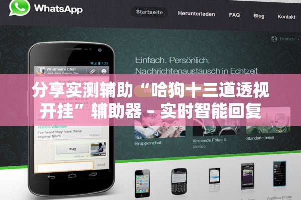 分享实测辅助“哈狗十三道透视开挂”辅助器 – 实时智能回复