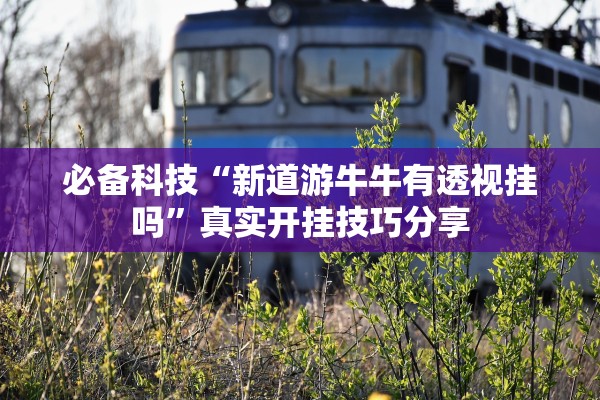 必备科技“新道游牛牛有透视挂吗	”真实开挂技巧分享