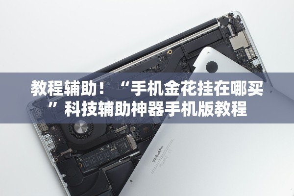 教程辅助！“手机金花挂在哪买”科技辅助神器手机版教程