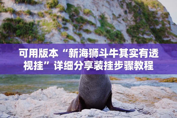 可用版本“新海狮斗牛其实有透视挂”详细分享装挂步骤教程