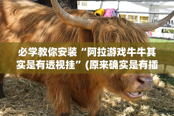 必学教你安装“阿拉游戏牛牛其实是有透视挂”(原来确实是有插件)