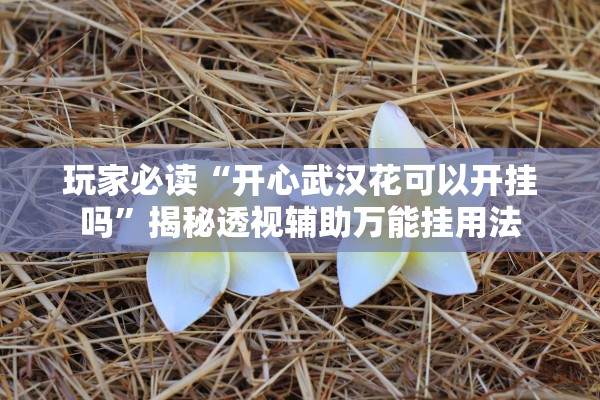 辅助神器“新大圣牛牛开挂方法”附开挂脚本详细步骤