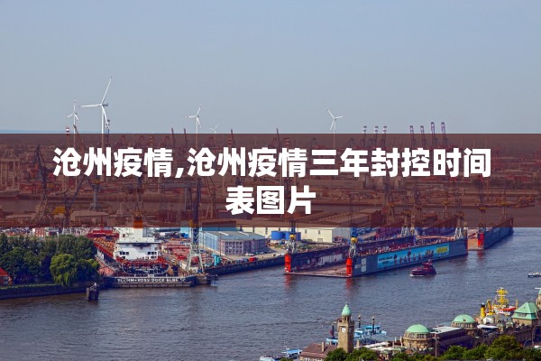 沧州疫情,沧州疫情三年封控时间表图片