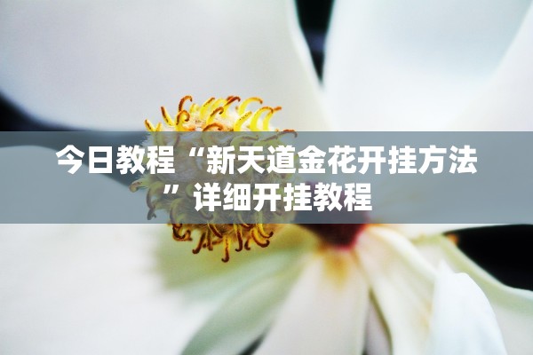 今日教程“新天道金花开挂方法”详细开挂教程