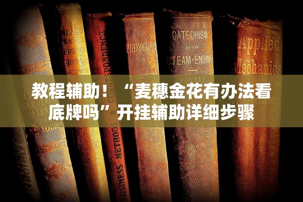 教程辅助！“麦穗金花有办法看底牌吗”开挂辅助详细步骤