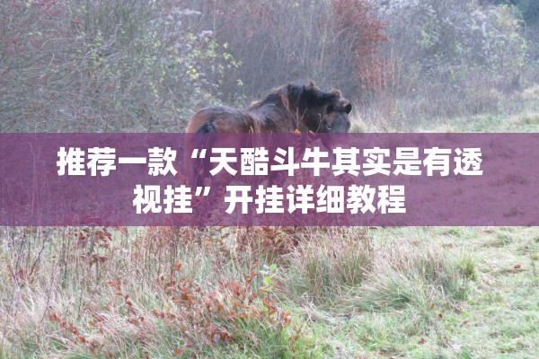 推荐一款“天酷斗牛其实是有透视挂	”开挂详细教程