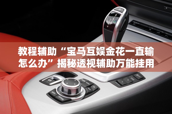 分享实测辅助“闽南漳州麻将竟然有挂”(原来确实是有插件) 