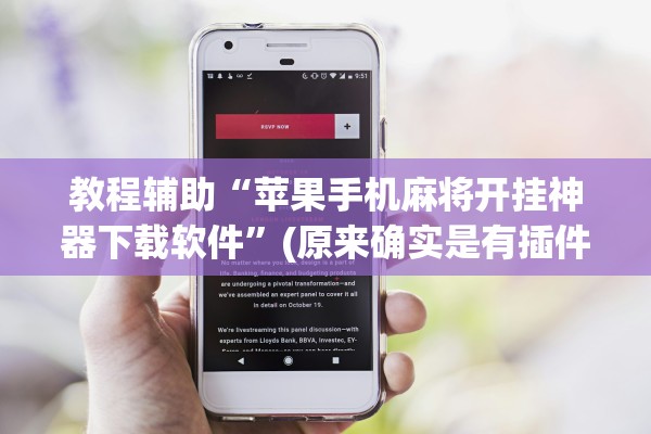 教程辅助“苹果手机麻将开挂神器下载软件	”(原来确实是有插件) 