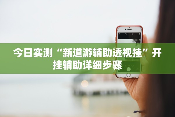 今日实测“新道游辅助透视挂”开挂辅助详细步骤