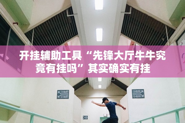 开挂辅助工具“先锋大厅牛牛究竟有挂吗”其实确实有挂