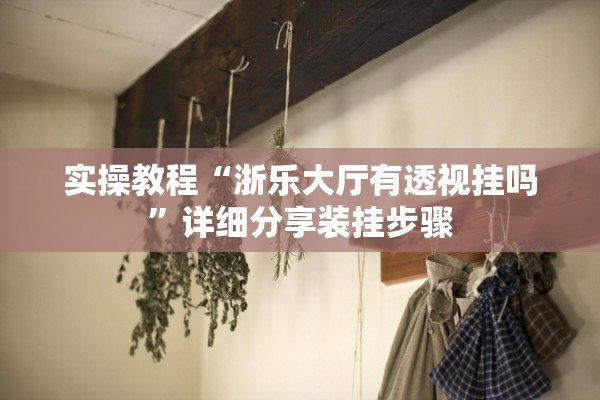 实操教程“浙乐大厅有透视挂吗”详细分享装挂步骤