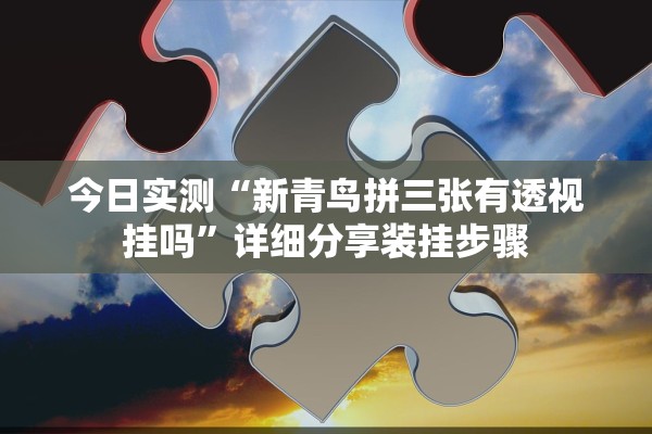 今日实测“新青鸟拼三张有透视挂吗”详细分享装挂步骤