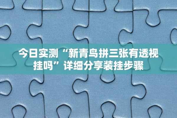 今日实测“新青鸟拼三张有透视挂吗”详细分享装挂步骤