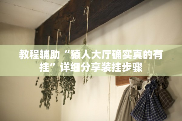 教程辅助“猿人大厅确实真的有挂”详细分享装挂步骤