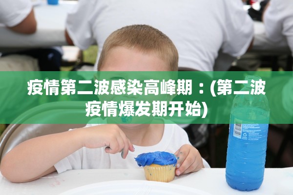疫情第二波感染高峰期︰(第二波疫情爆发期开始) 疫情第二波感染高峰期︰(第二波疫情爆发期开始)
