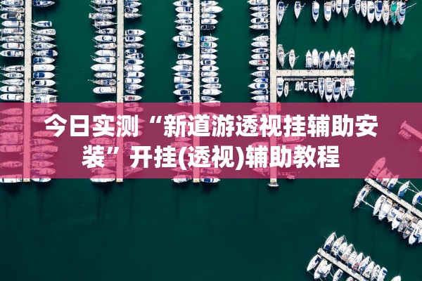 今日实测“新道游透视挂辅助安装”开挂(透视)辅助教程