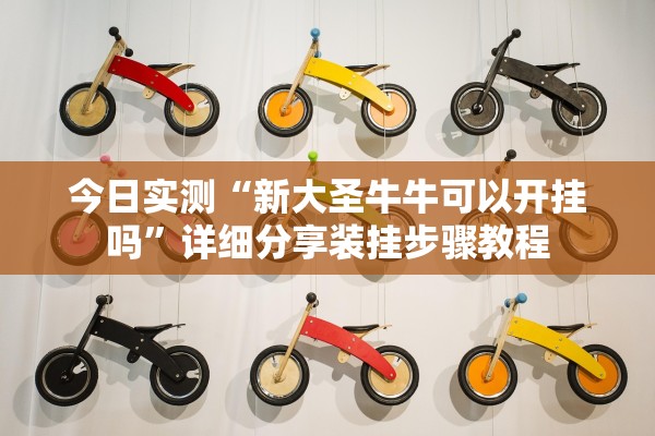 今日实测“新大圣牛牛可以开挂吗	”详细分享装挂步骤教程