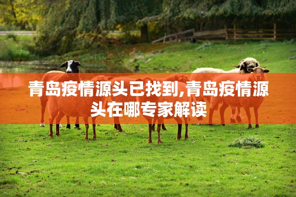 辅助神器“蒙乐呼伦贝尔麻将辅助软件”(曝光透视必备猫腻)