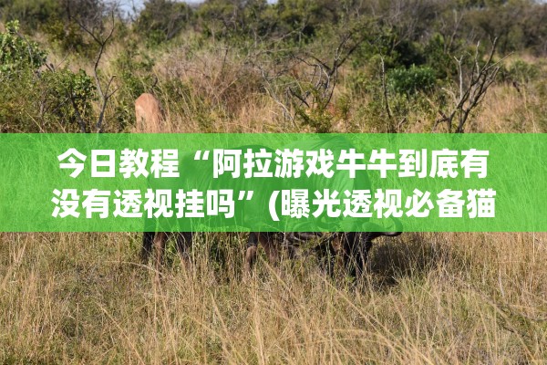 科普实测“新神兽拼三张开挂方法”辅助器 – 实时智能回复