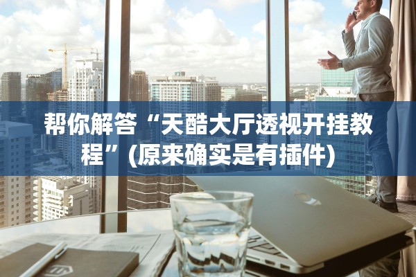 帮你解答“天酷大厅透视开挂教程”(原来确实是有插件)