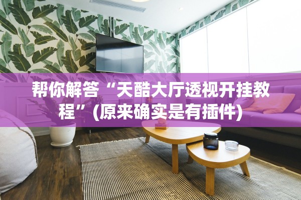 帮你解答“天酷大厅透视开挂教程”(原来确实是有插件)