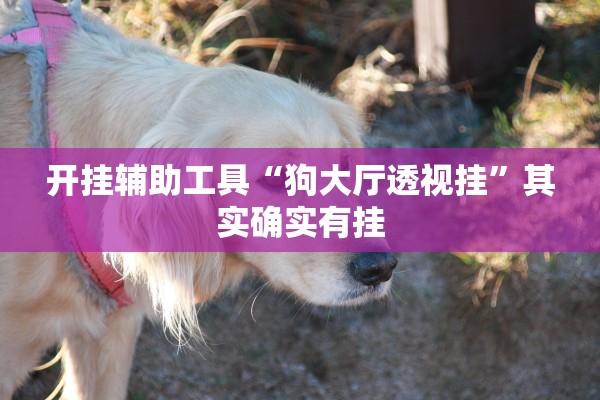 开挂辅助工具“狗大厅透视挂”其实确实有挂