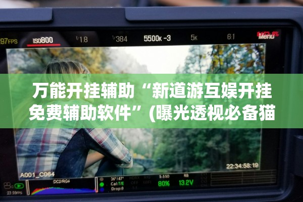 万能开挂辅助“新道游互娱开挂免费辅助软件”(曝光透视必备猫腻)