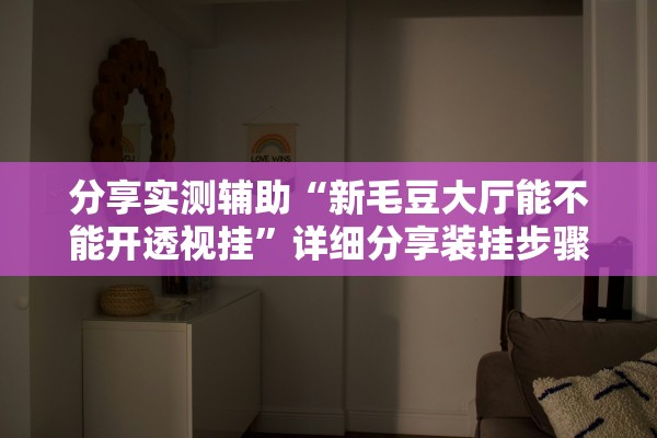 分享实测辅助“新毛豆大厅能不能开透视挂”详细分享装挂步骤