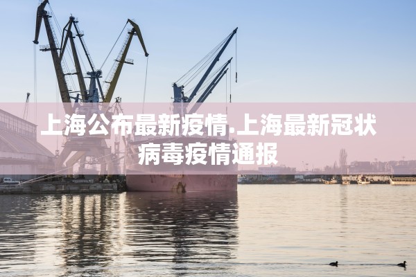 上海公布最新疫情.上海最新冠状病毒疫情通报