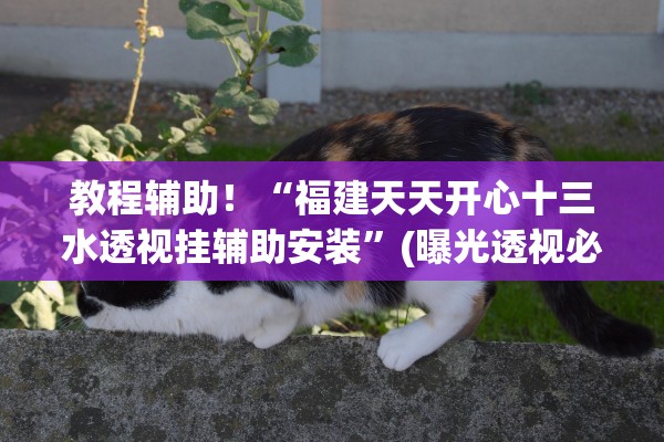 教程辅助！“福建天天开心十三水透视挂辅助安装	”(曝光透视必备猫腻)