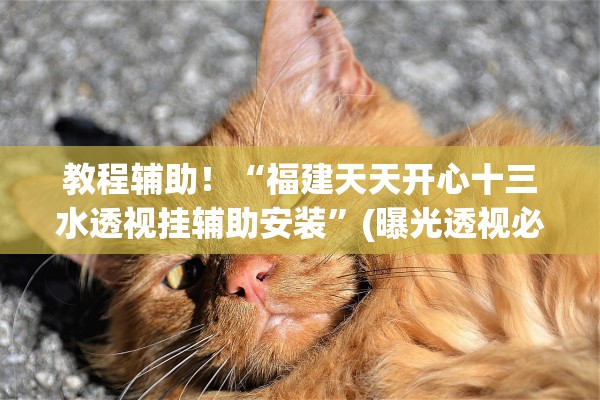 教程辅助！“福建天天开心十三水透视挂辅助安装”(曝光透视必备猫腻)