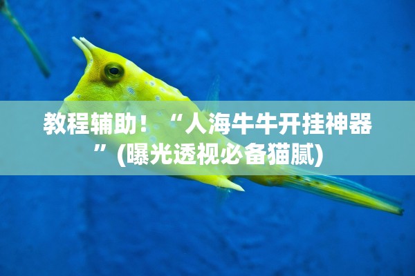 教程辅助！“人海牛牛开挂神器”(曝光透视必备猫腻)