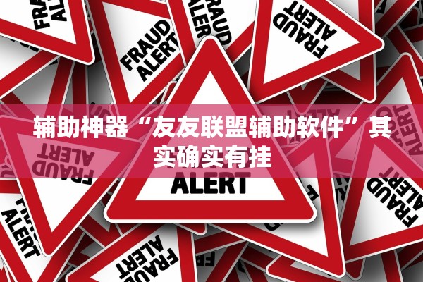 辅助神器“友友联盟辅助软件”其实确实有挂