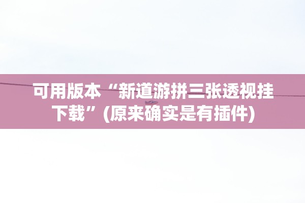 可用版本“新道游拼三张透视挂下载	”(原来确实是有插件)