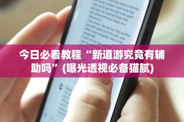 今日必看教程“新道游究竟有辅助吗	”(曝光透视必备猫腻)