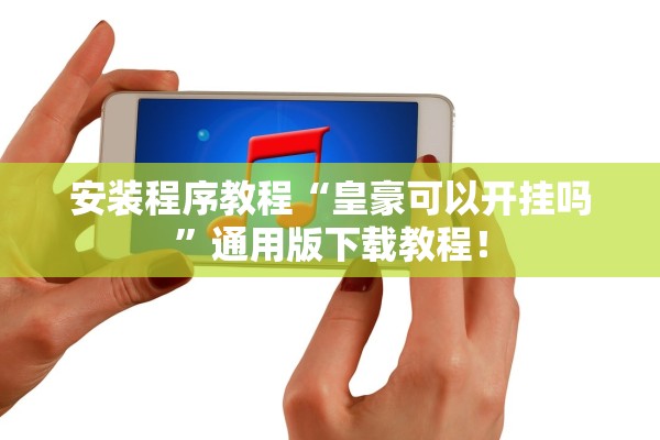 安装程序教程“皇豪可以开挂吗”通用版下载教程！