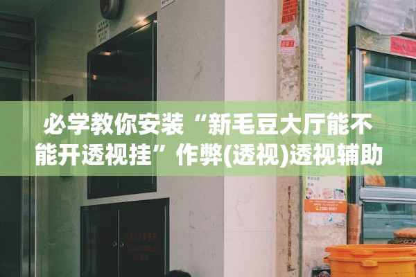 必学教你安装“新毛豆大厅能不能开透视挂”作弊(透视)透视辅助 