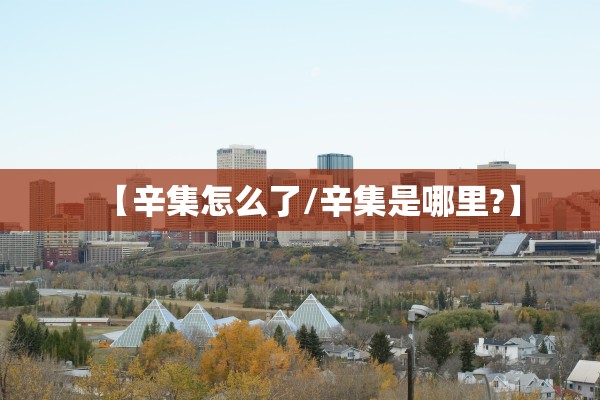 【辛集怎么了/辛集是哪里?】