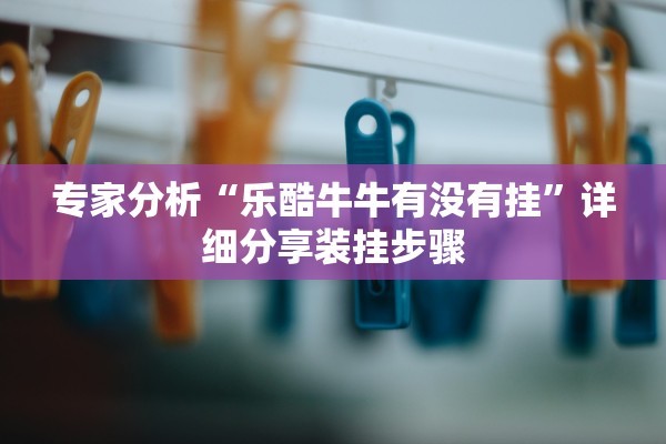 专家分析“乐酷牛牛有没有挂”详细分享装挂步骤