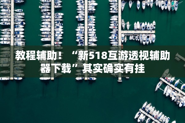 教程辅助！“新518互游透视辅助器下载”其实确实有挂