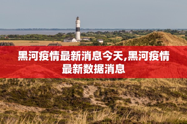 黑河疫情最新消息今天,黑河疫情最新数据消息