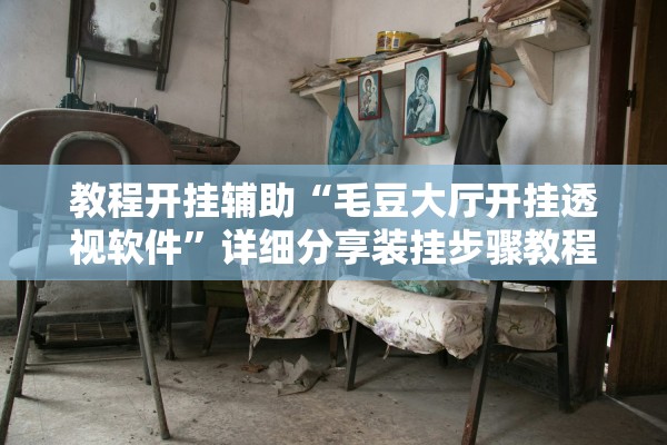 教程开挂辅助“毛豆大厅开挂透视软件”详细分享装挂步骤教程