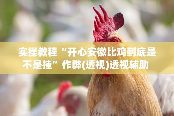 实操教程“开心安徽比鸡到底是不是挂”作弊(透视)透视辅助 