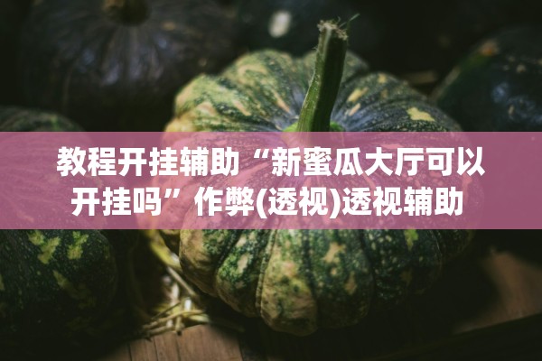 教程开挂辅助“新蜜瓜大厅可以开挂吗”作弊(透视)透视辅助 