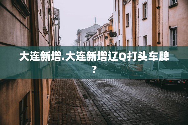 大连新增.大连新增辽Q打头车牌?