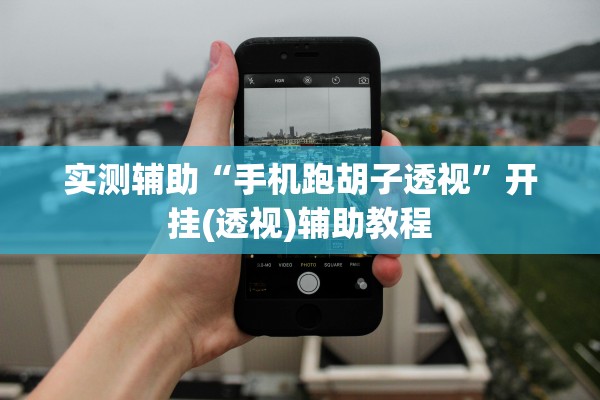 实测辅助“手机跑胡子透视”开挂(透视)辅助教程