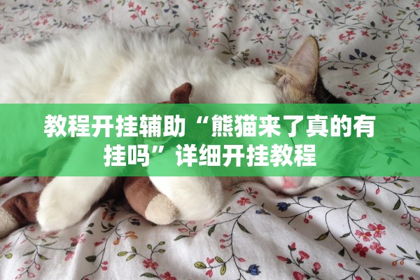 教程开挂辅助“熊猫来了真的有挂吗”详细开挂教程